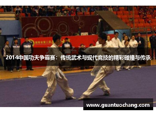 2014中国功夫争霸赛：传统武术与现代竞技的精彩碰撞与传承