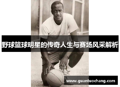野球篮球明星的传奇人生与赛场风采解析