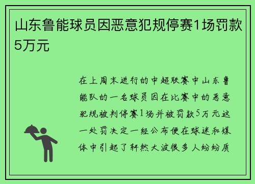 山东鲁能球员因恶意犯规停赛1场罚款5万元